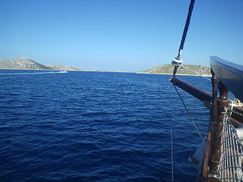 Segelyacht-mit-Skipper-Nature-19