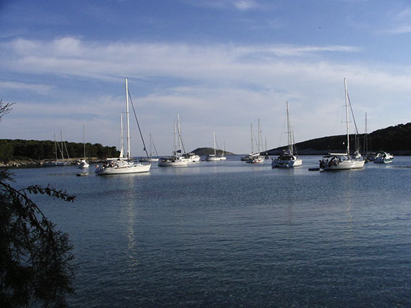 Segelyacht-mit-Skipper-Nature-36