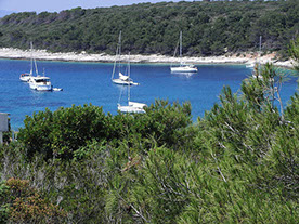 Segelyacht-mit-Skipper-Nature-37